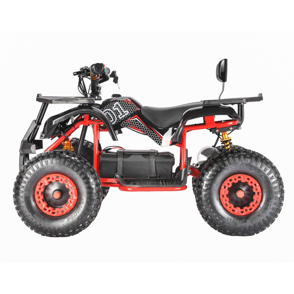 Электроквадроцикл WHITE SIBERIA SNEG 1500w 2 Электроквадроцикл WHITE SIBERIA SNEG 1500w 2