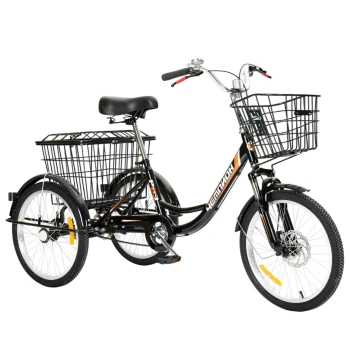 Трехколесный велосипед для взрослых РВЗ Чемпион 20" 1 скорость